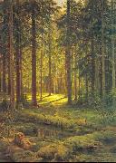 Ivan Shishkin Coniferous Forest, Sunny Day oil on canvas